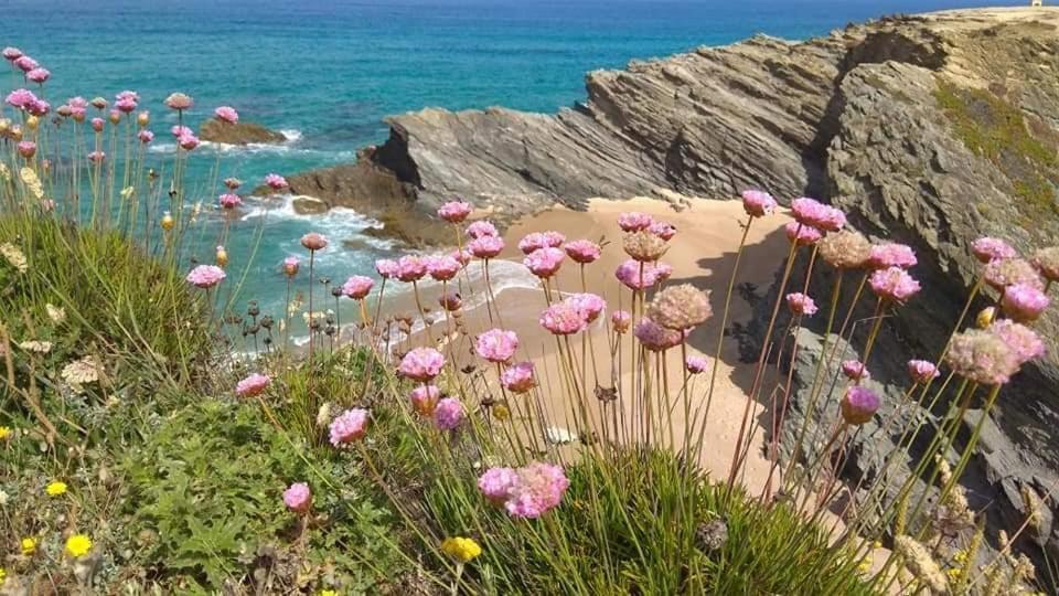 Quartos Abelha Porto Covo Dış mekan fotoğraf